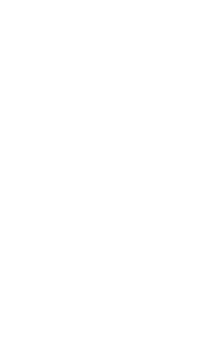 Wokstr Logo